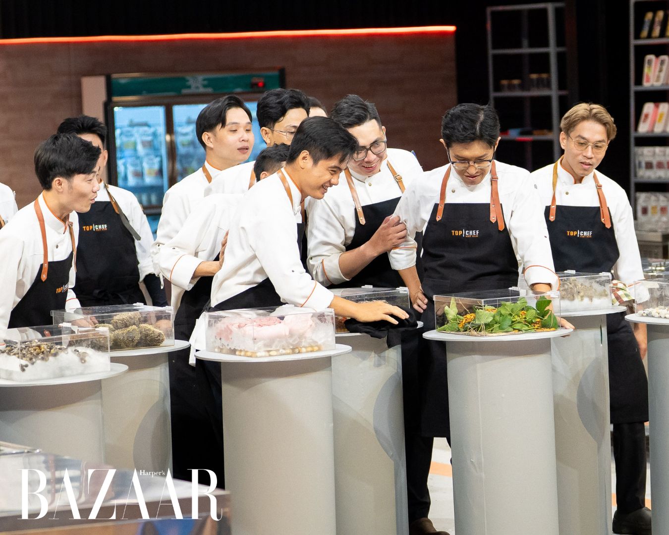Tập 1 Top Chef Việt Nam 2026 biến “quái vật đại dương” thành fine dining