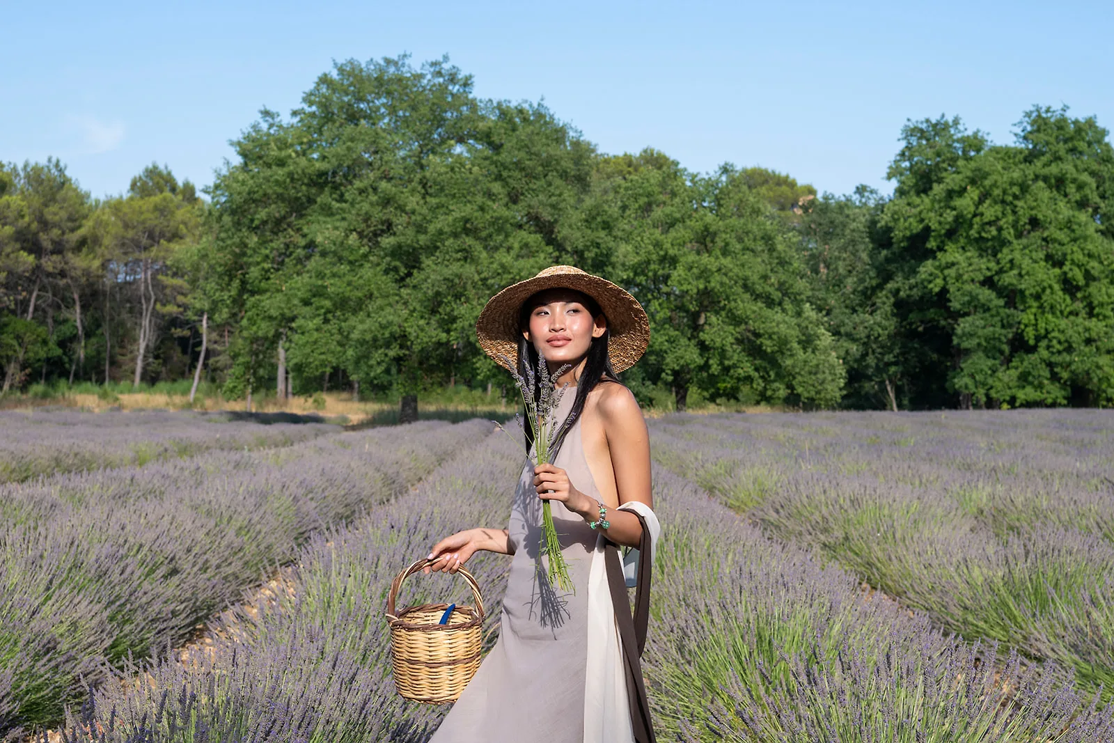 cô gái đứng giữa cánh đồng lavender