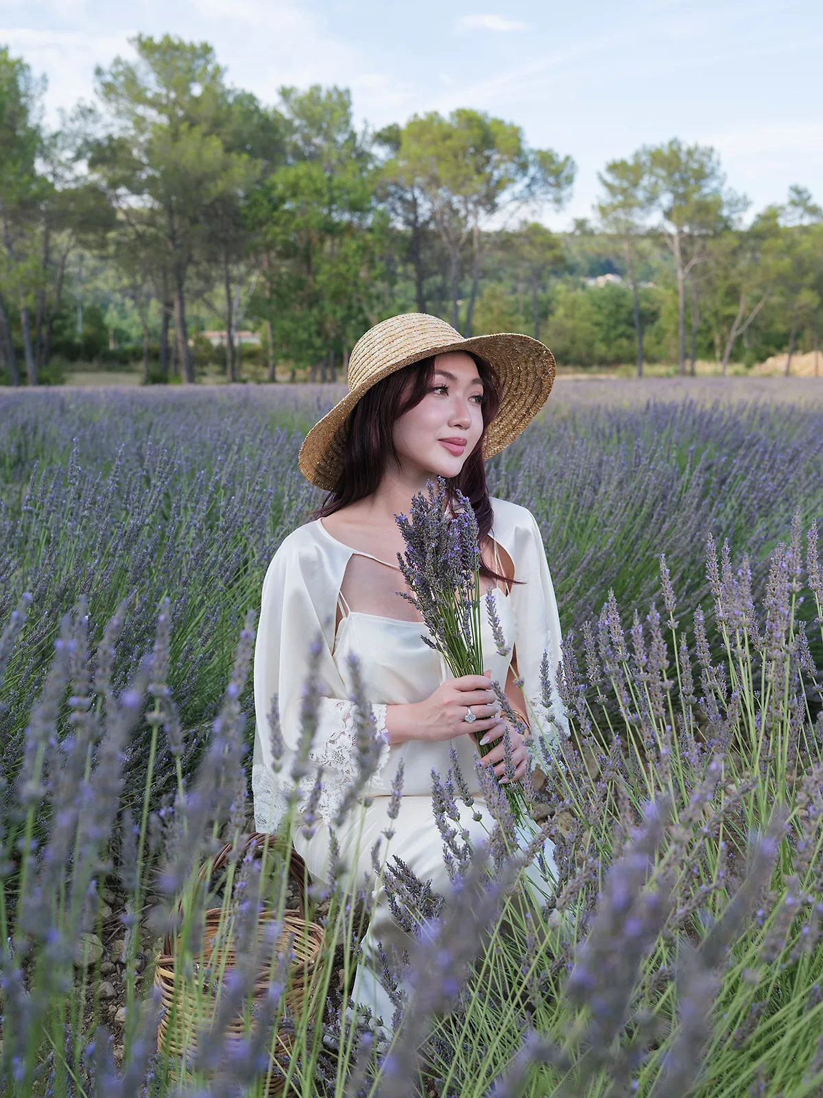 Chloe hái hoa lavender