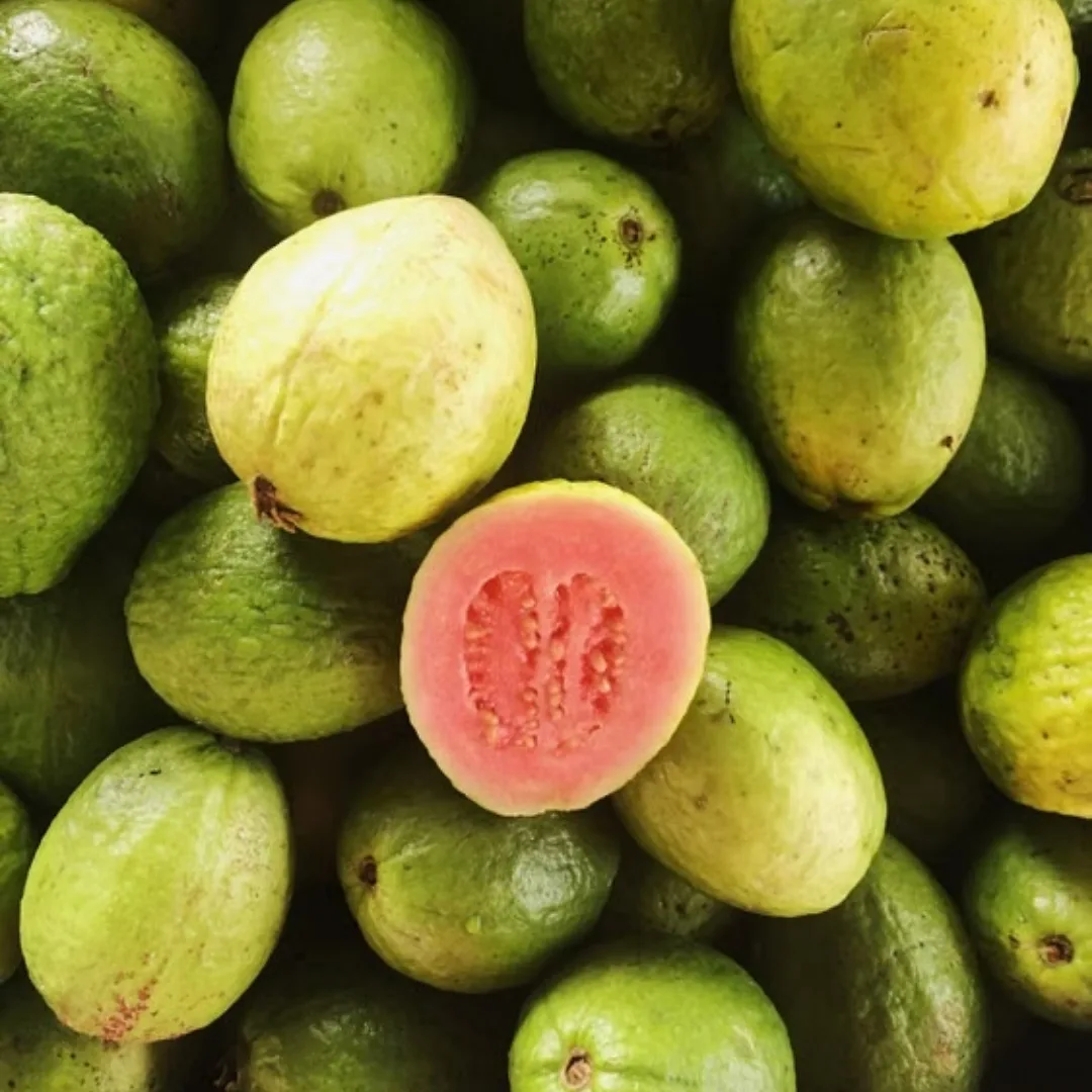 Ổi là trái cây tốt cho sức khỏe và giàu vitamin C. 